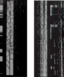 From Control to Chaos Diptych #1 & #2, 2021